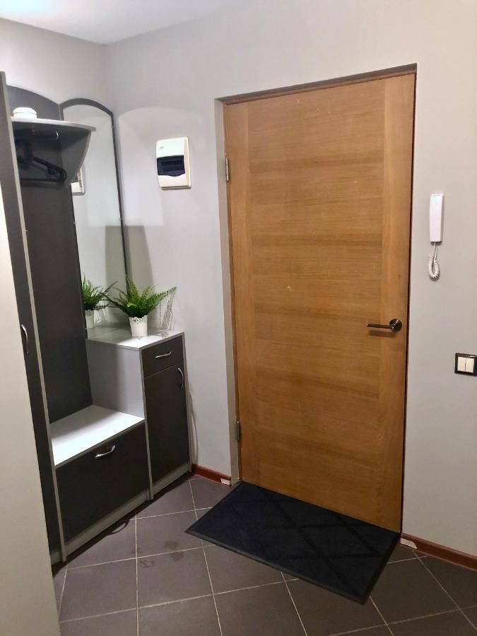 Апартаменты Studio Private Apartment Елгава-45